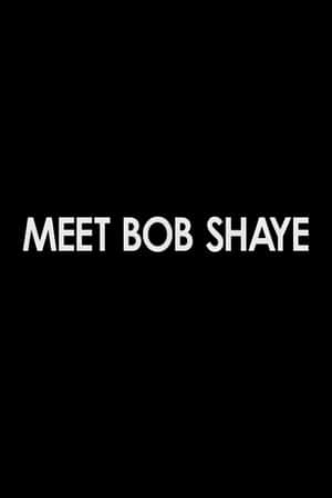 Meet Bob Shaye