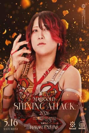 Marigold Shining Attack 2026 ~ Day 7