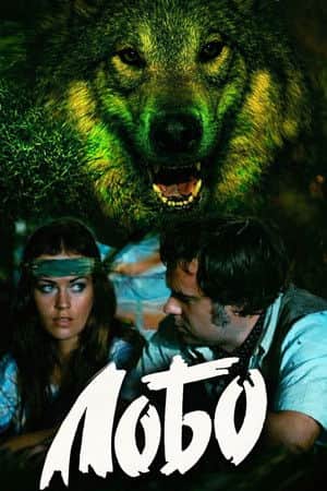 Lobo