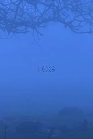 Fog