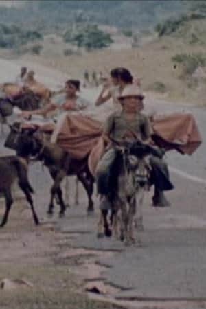 Ciganos do Nordeste