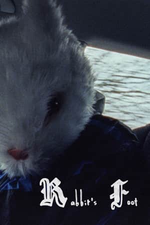 Rabbit's Foot