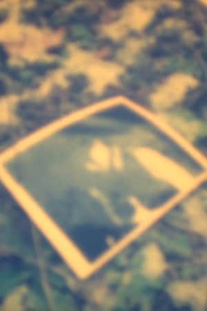 V/M. Releasing