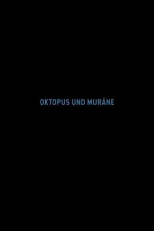 Octopus and Moray