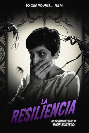 La resiliencia
