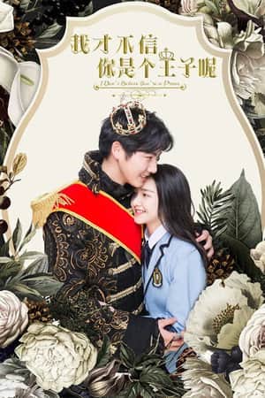 I Don't Believe You're a Prince