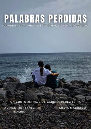 Palabras Perdidas