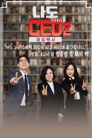 I'm a CEO 2