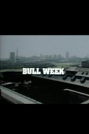 Bull Week