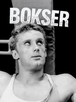 Boxer