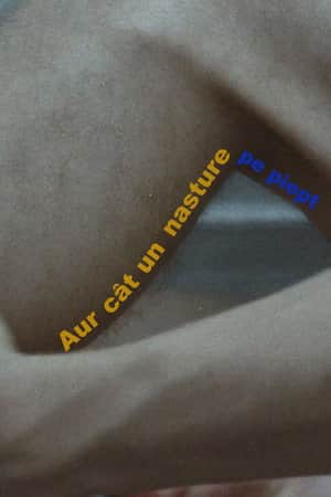 Aur cât un nasture pe piept