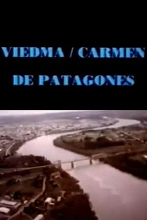 Viedma hoy