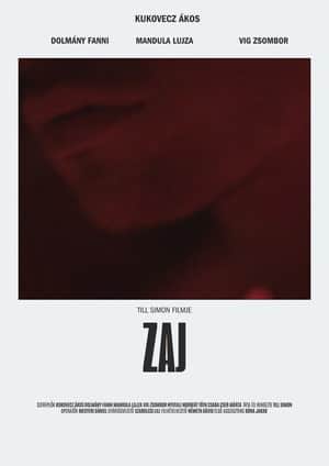 Zaj
