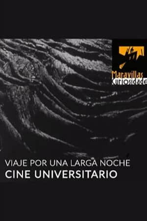 Viaje por una larga noche