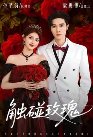 触碰玫瑰