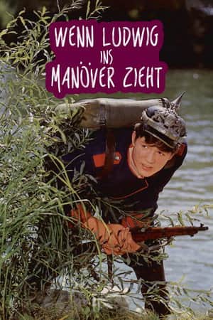 Wenn Ludwig ins Manöver zieht