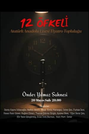 12 Kızgın