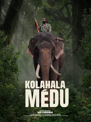 Kolahalamedu
