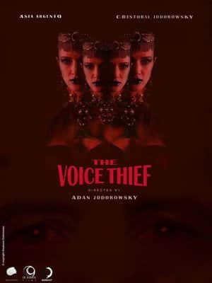The Voice Thief
