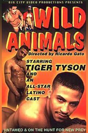 Wild Animals