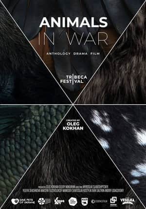 Animals in War