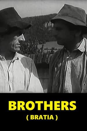 Brothers