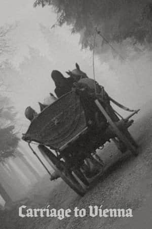 Carriage to Vienna