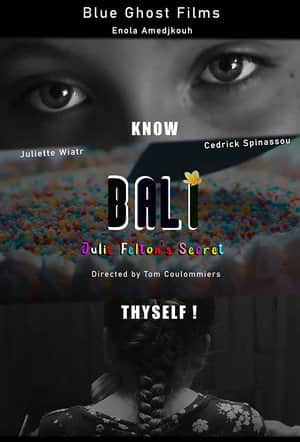 Bali - Le Secret de Julie Felton