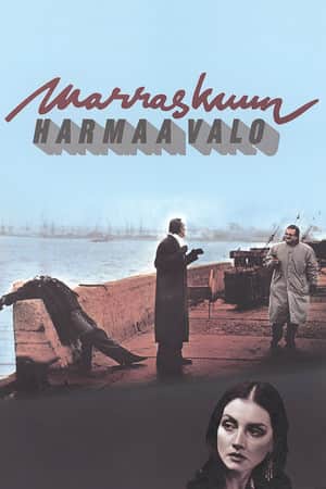 Marraskuun harmaa valo