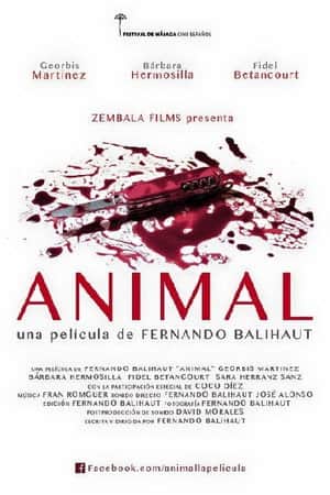 Animal