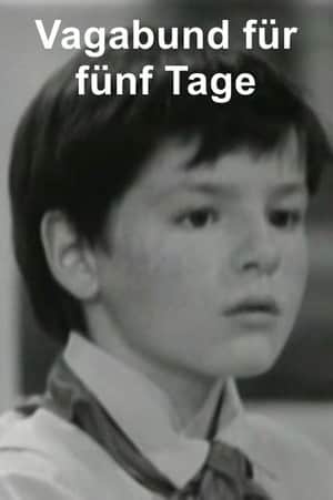 Vagabund für fünf Tage