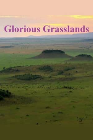 Glorious Grasslands