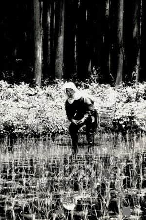 The Japanese Part 3: Farm Song
