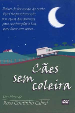 Cães Sem Coleira