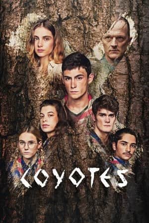 The Coyotes