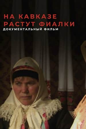 Violets Blossom in the Caucasus