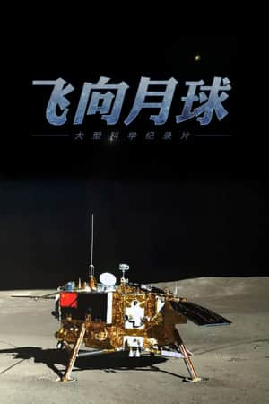 飞向月球