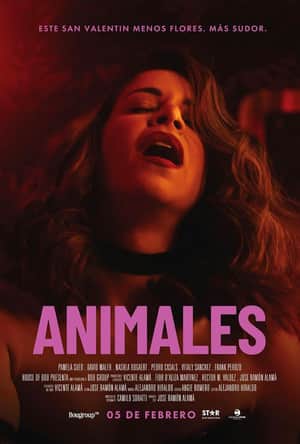 Animals