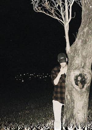 Predação Noturna