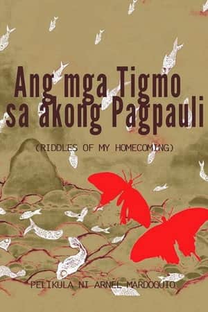 Ang mga Tigmo sa Akong Pagpauli