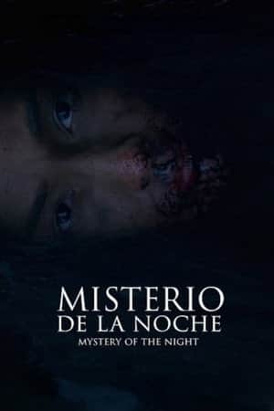 Mystery of the Night