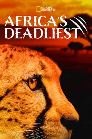 Africa's Deadliest