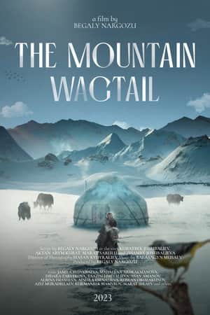 The Mountain Wagtail