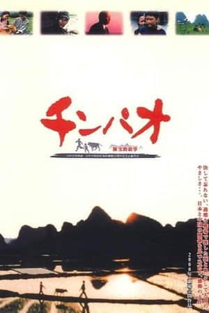 Chinpao chin ho-teki koji