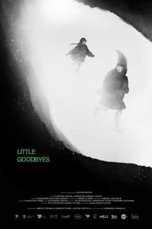 Little Goodbyes