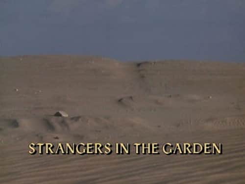 Strangers in the Garden