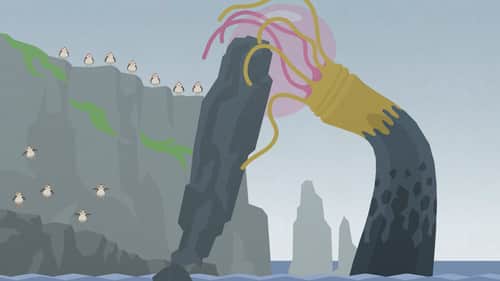 Chewie, the Porgs, and the Sea Monster (2)