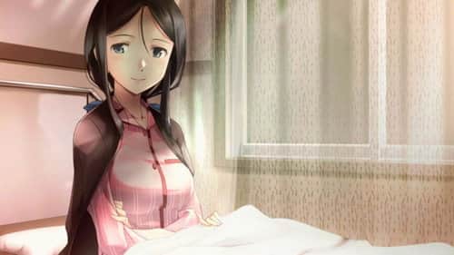 Himeko's Epilogue