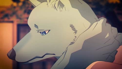 Episode 7