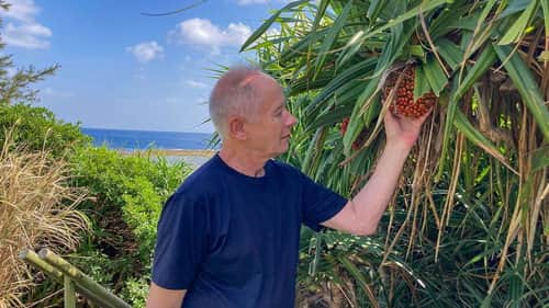 AMAMI OSHIMA: Isson's Treasure Island